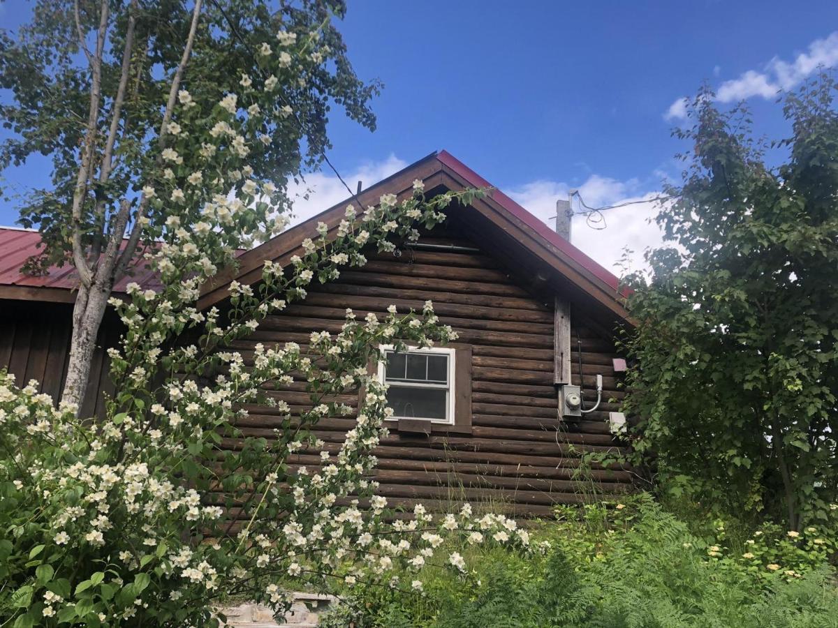 Morning Star Log Cabin Nelson Exterior photo