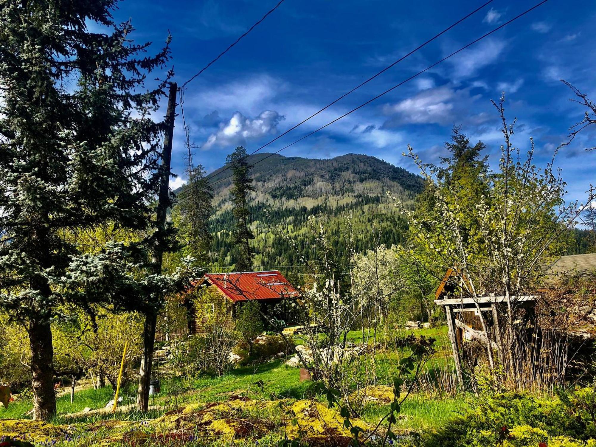 Morning Star Log Cabin Nelson Exterior photo
