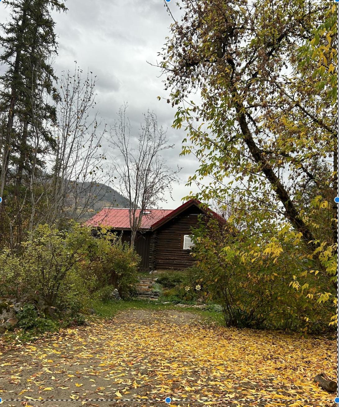Morning Star Log Cabin Nelson Room photo