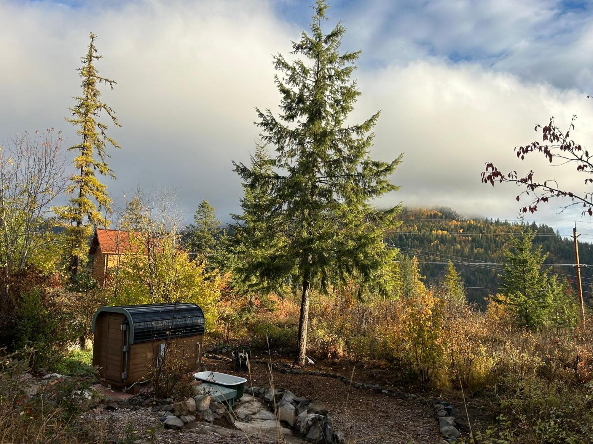 Morning Star Log Cabin Nelson Room photo